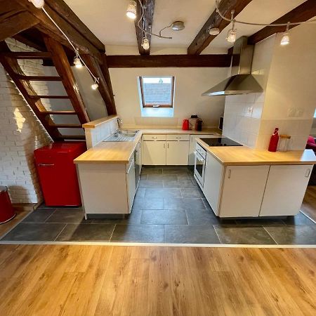 Le Petit Linck - Typique Au Coeur De Colmar Apartman Kültér fotó