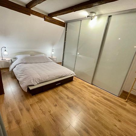Le Petit Linck - Typique Au Coeur De Colmar Apartman Kültér fotó