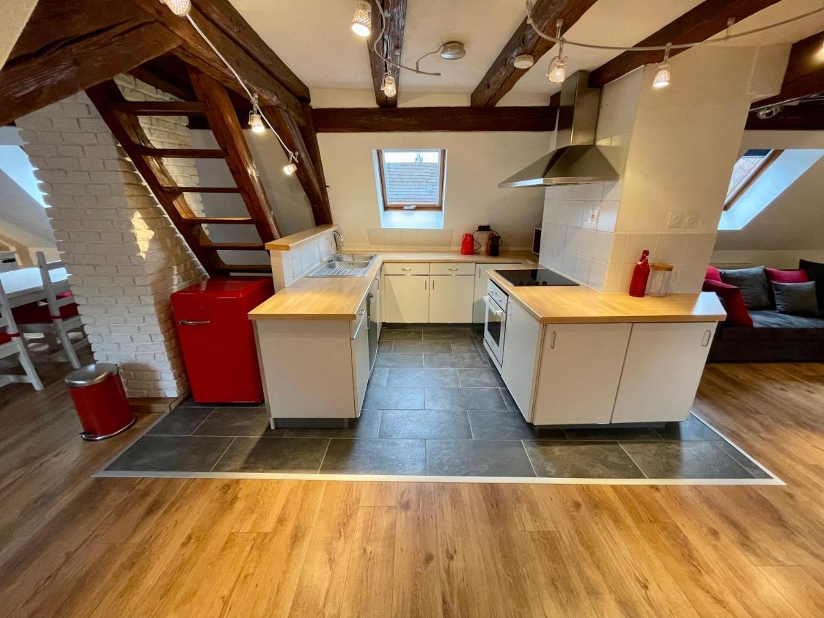 Le Petit Linck - Typique Au Coeur De Colmar Apartman Kültér fotó