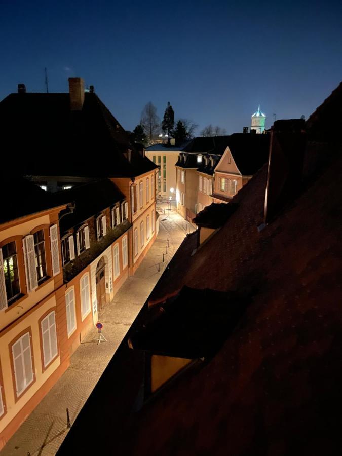 Le Petit Linck - Typique Au Coeur De Colmar Apartman Kültér fotó