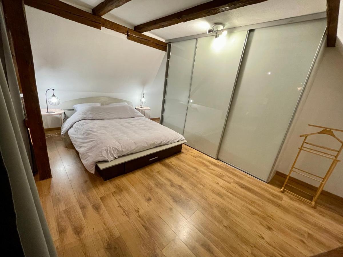 Le Petit Linck - Typique Au Coeur De Colmar Apartman Kültér fotó