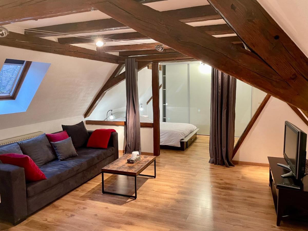 Le Petit Linck - Typique Au Coeur De Colmar Apartman Kültér fotó